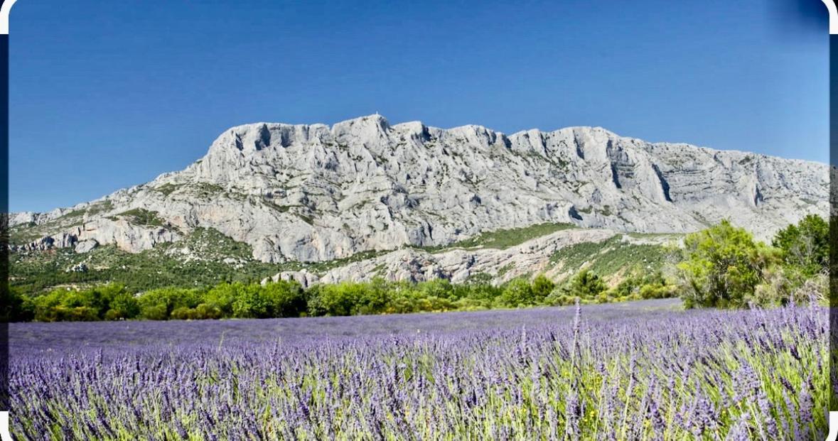 Charmant Studio Le Clos D'Aix Parking Prive Gratuit Et Piscine Aix-en-Provence Eksteriør billede